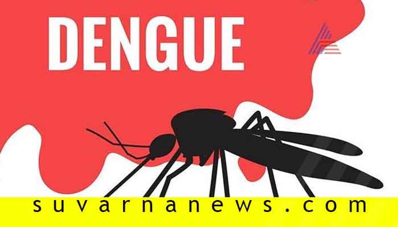 Symptoms cause and prevention for dengue fever