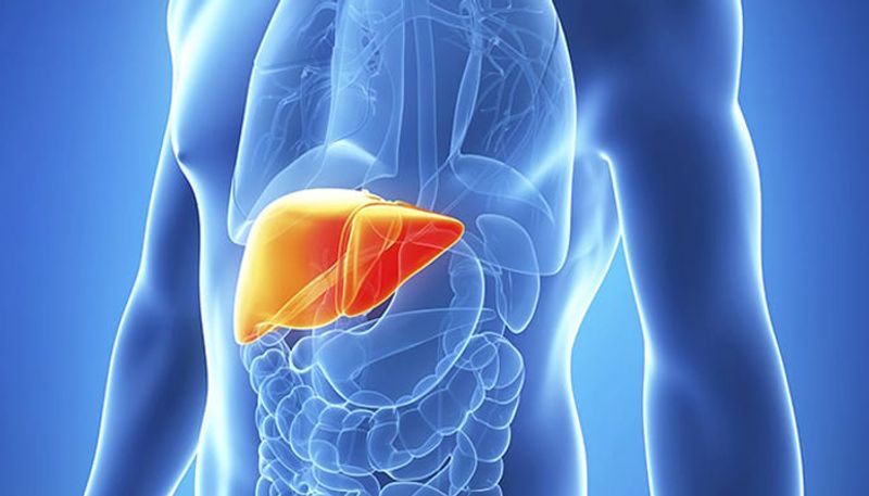 foods can help in curing fatty liver