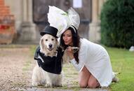 British woman ties knot with her golden retriever, yes a dog!