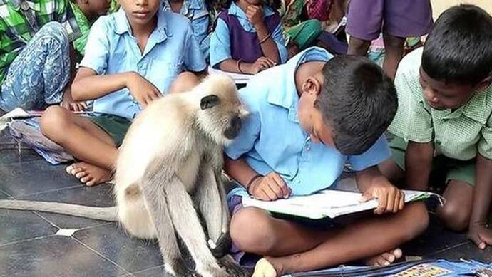 VIDEO: इस सरकारी स्कूल में पढ़ने आती है खास स्टूडेंट, कभी नहीं मारती बंक