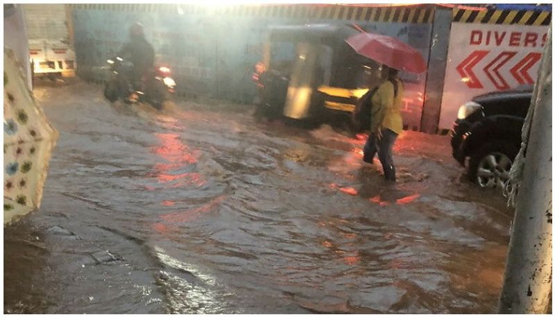 Chikkamagaluru State Highway bridge is in collapsing condition