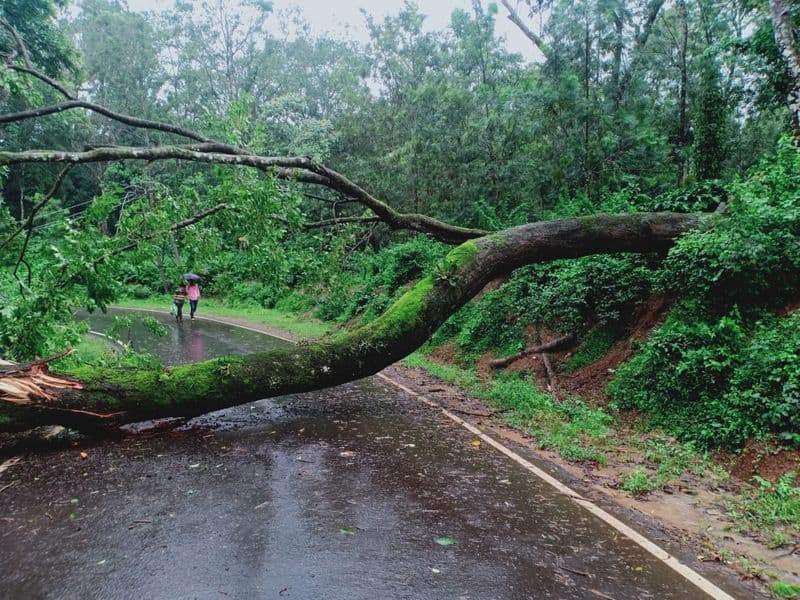 Heavy rain pounds Malnadu districts