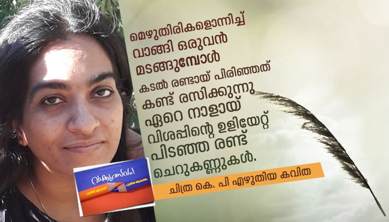 Literature festival Poem by Chithra KP