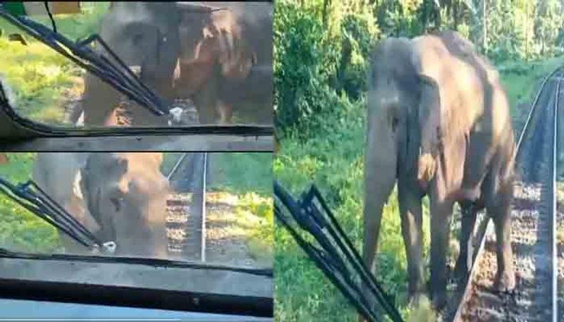 viral video of wild elephant trying to push back train from Darjeeling