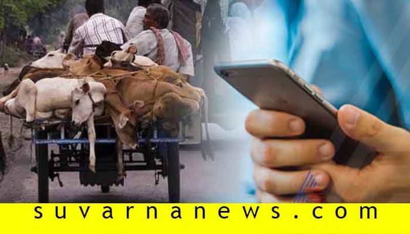 New Mobile Application launched for cattle transport in Mangalore