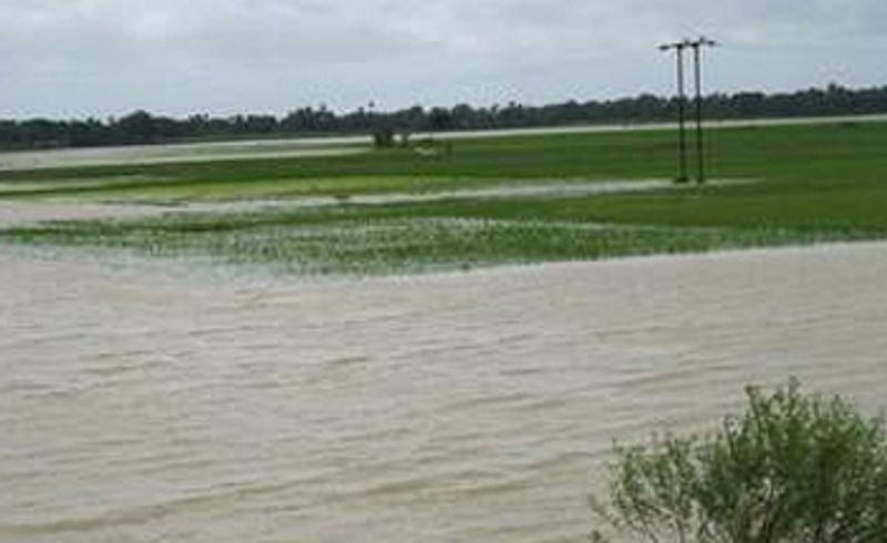 Fields submerge due to Unscientific construction work in Shivamogga