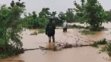 Odisha: Heavy rain creates flood-like situation in some districts; 8 dead