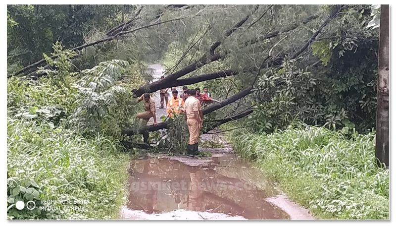 Around 6 Crore loss in Chikkamagaluru due to Heavy Rain