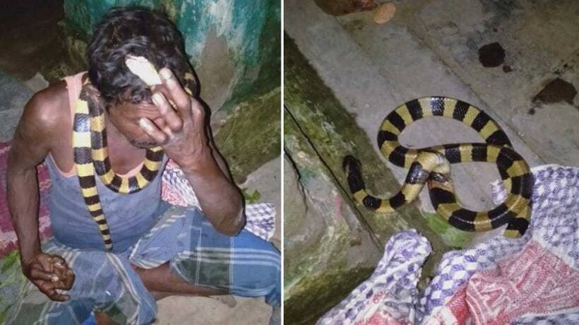 सांप को मारा तो पहुंच गए जेल