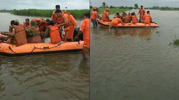 Monsoon Mayhem Rain related incidents claim lives of 35 in Maharashtra 31 in Gujarat