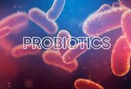 how probiotics is important for human body