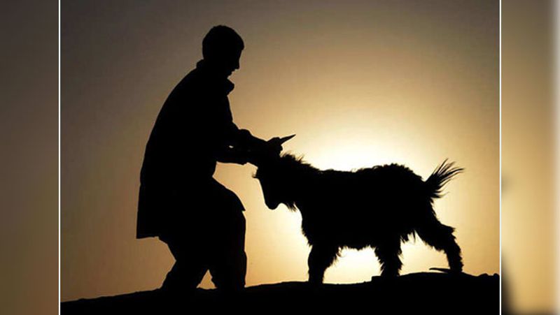 Being sacrificed is not a show-off. It's important to discuss sacrifice in Eid al-Adha RMA