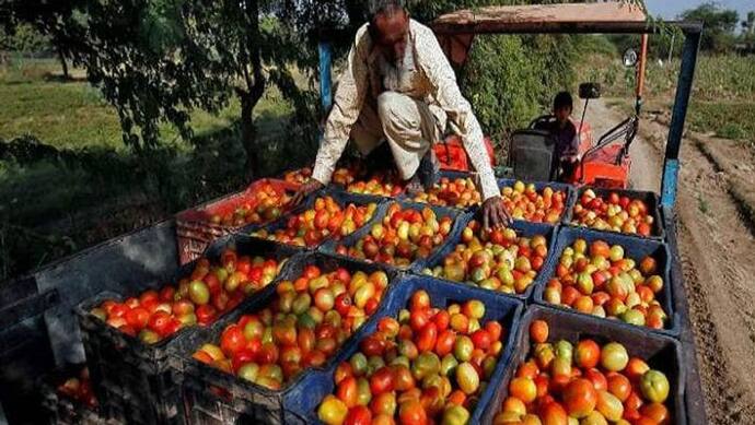 पाकिस्तान में भारत से पांच गुना ज्यादा टमाटर के दाम, इमरान के फैसलों से फीकी पड़ सकती है बकरीद