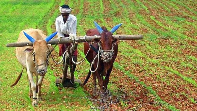 Condition Apply To Get Compensation in Farmers Suicide Case