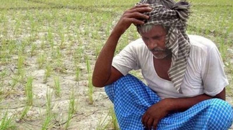 Farmers Faces Problmes for Rain in Haveri District