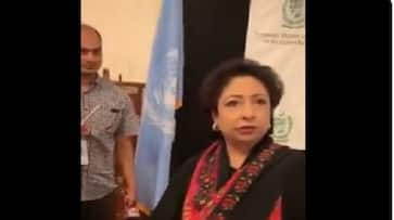 Imran kick out Maleeha lodhi from representative in UN