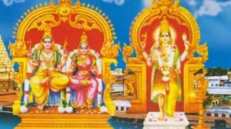 lord shiva and vishnu are same , festival in sankaran kovil