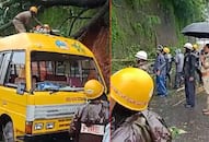 Karnataka Tree branch falls on school bus carrying 17 children in Mangaluru