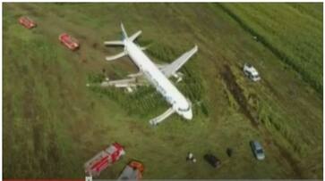 Pilot saves 233 lives by flying aircraft in cornfield, has become 'hero' in the world