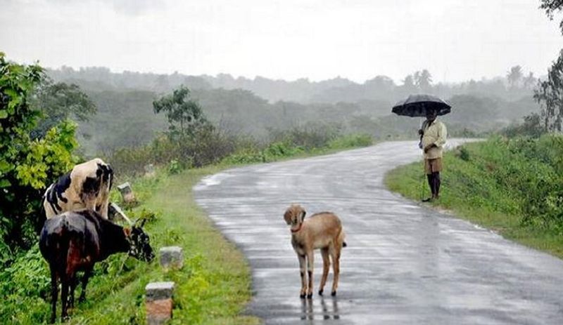 Rain decreases in Chikkamgaluru