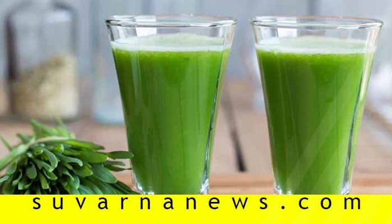 How chlorophyll water helps in weight loss