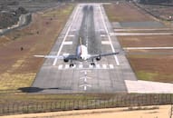 Pilots are upset with dogs in Goa, dogs running on runway