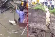 Karnataka: Crocodile falls into well, rescued by forest officers