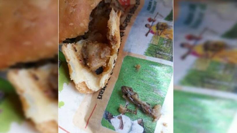 समोसे से निकली मरी हुई छिपकली, दुकानदार ने कहा 'अरे ये तो फ्रॉय मिर्ची है'