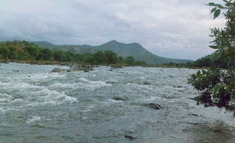 People clean kaveri river in midst of lockdown in madikeri