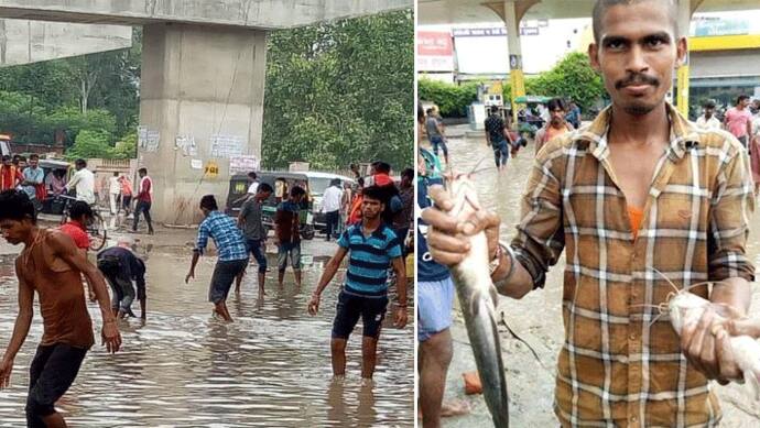 अचानक बनारस की सड़क पर जब तैरने लगीं मछलियां, पकड़ने वालों में मची लूट