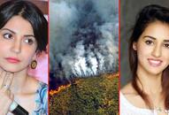 Amazon rainforest fire: Indian celebs express concern, send prayers