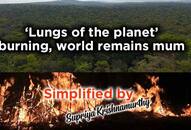 Simplified by Amazon rainforest fire impcats India Heres how