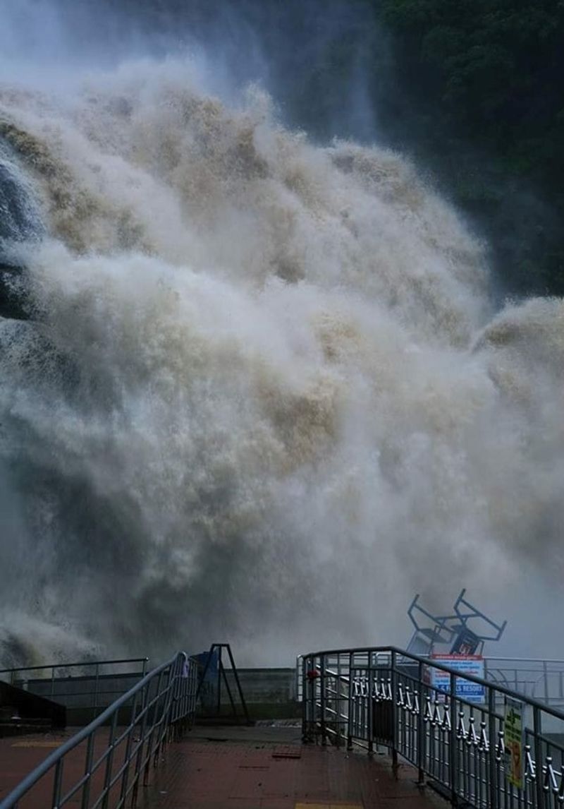 flood in kutralam falls due to heavy rain