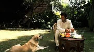 Imran Khan's new business, plans to earn money by selling dogs