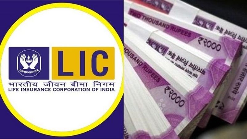 LIC Saral Pension Yojana Pay a single premium and get Rs 12 thousand every month here is detail