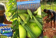 The Good Fight: Bengalureans grow their own vegetables thanks to Swayam Krishi