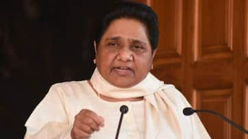 BSP chief Mayawati slams Rahul Gandhi, opposition leaders for Kashmir visit