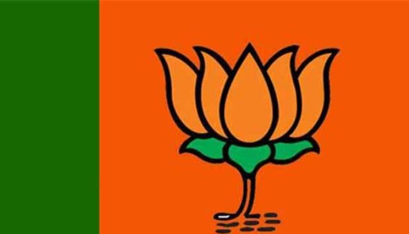 bjp emblem flag logo