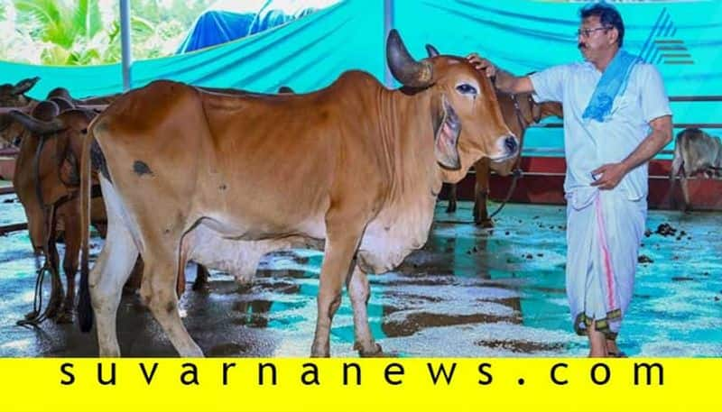 Karkala based farmer Ramakrishna gains profit by animal husbandry