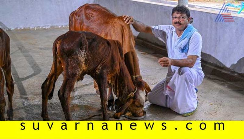 Karkala based farmer Ramakrishna gains profit by animal husbandry