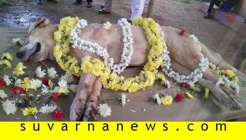 Police dog Ramya died in Shivamogga