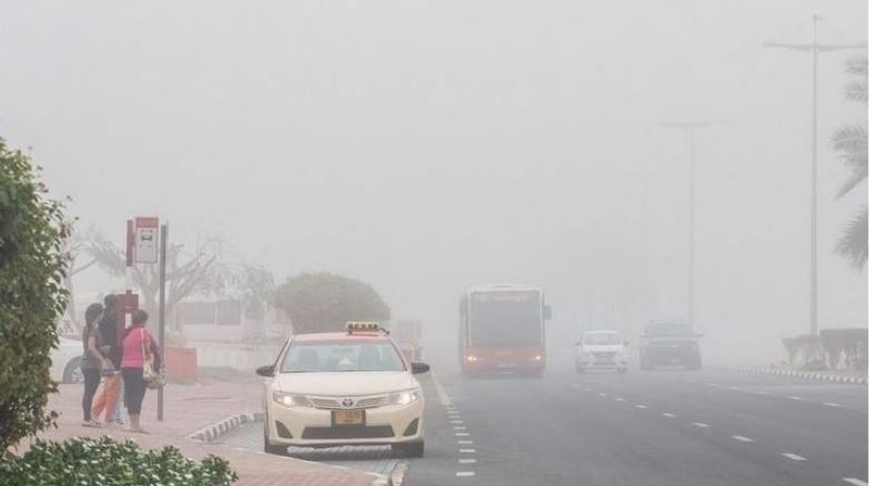 Important 5 tips to drive safe during fog