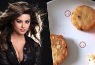 Priyanka Chopra's sister Meera served live maggots at 5-star hotel (Watch)