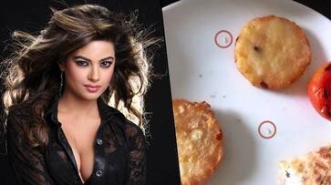 Priyanka Chopra's sister Meera served live maggots at 5-star hotel (Watch)