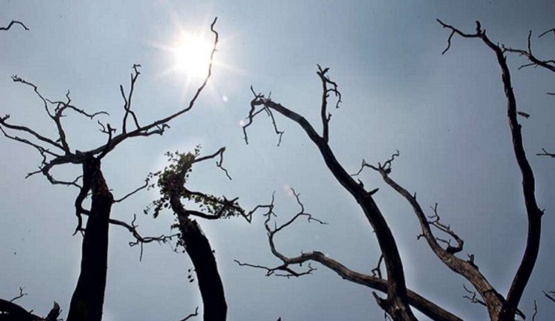 Dry weather continues in Mangalore