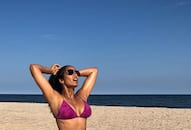 Hot and Sexy Bikini Photos of Supermodel Padma Lakshmi, 'Sex' Ever Made a Breakup