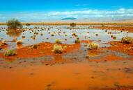 Morocco football match turns tragic after flash floods kill 7 people in Taroudant