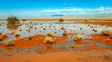 Morocco football match turns tragic after flash floods kill 7 people in Taroudant