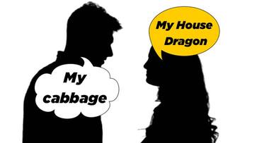 How do you address your loved one My cabbage or house dragon