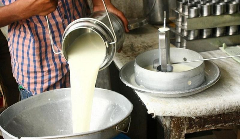 Bamul Hikes Milk Price RS 1 Rupee Per Liter